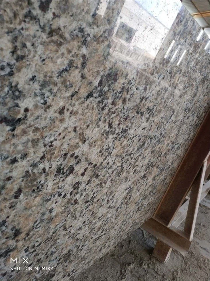 Yellow Butterfly Granite For Kitchen Countertop Tile Slabs